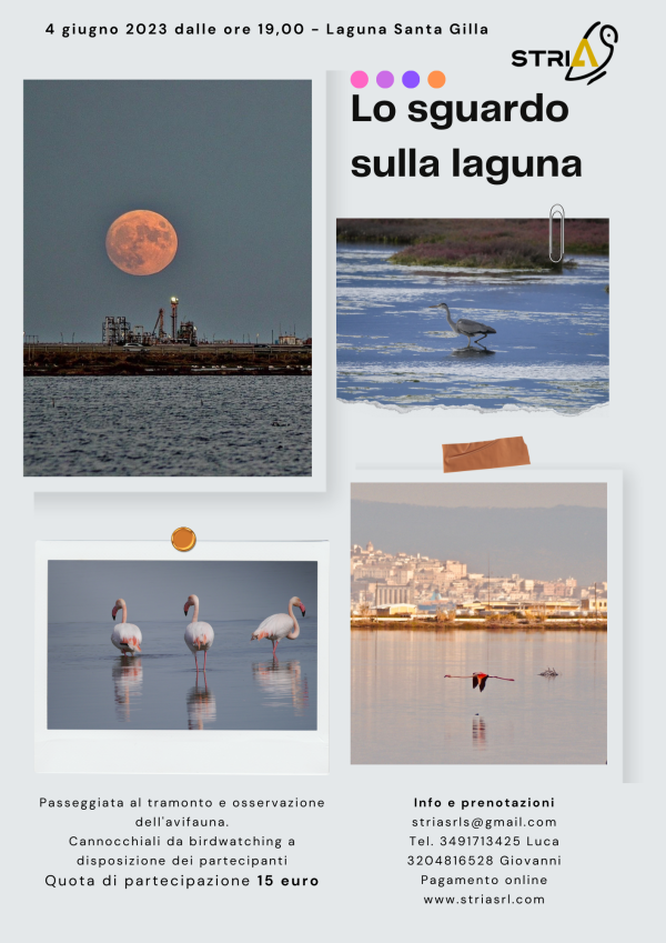 Uno sguardo sulla laguna - immagine 2