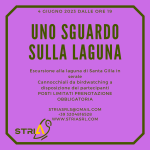 Uno sguardo sulla laguna